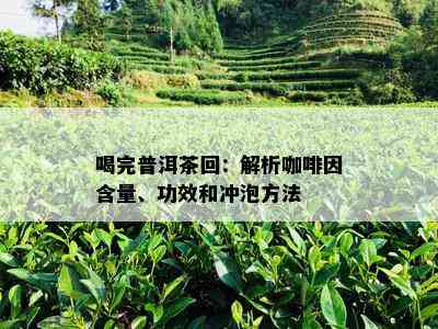 喝完普洱茶回：解析 *** 含量、功效和冲泡方法