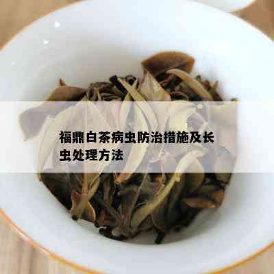 福鼎白茶病虫防治措施及长虫处理方法