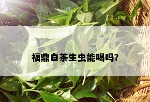 福鼎白茶生虫能喝吗？