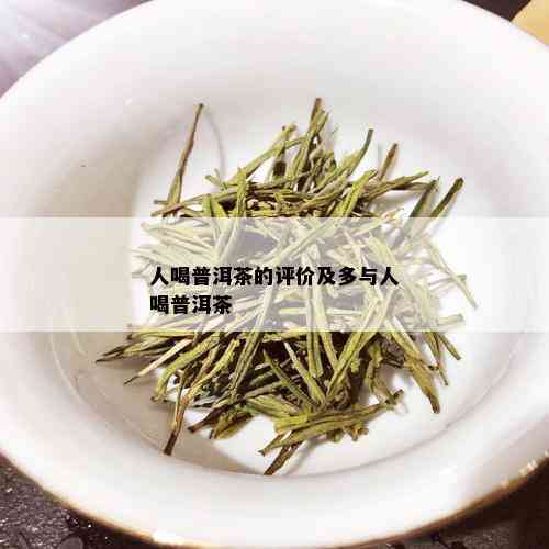 人喝普洱茶的评价及多与人喝普洱茶