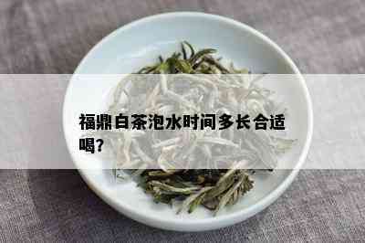 福鼎白茶泡水时间多长合适喝？