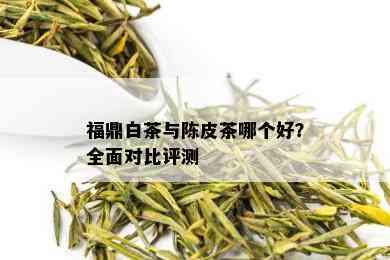 福鼎白茶与陈皮茶哪个好？全面对比评测