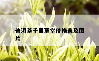 普洱茶千里草堂价格表及图片