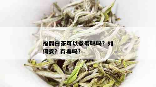 福鼎白茶可以煮着喝吗？如何煮？有吗？