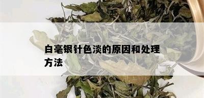 白毫银针色淡的原因和处理方法