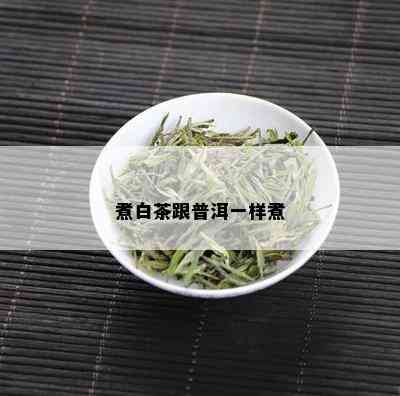 煮白茶跟普洱一样煮