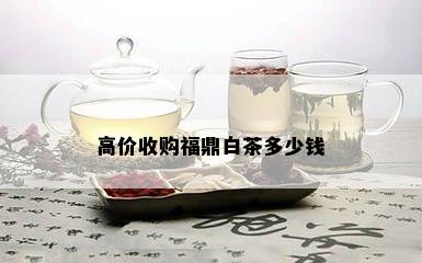 高价收购福鼎白茶多少钱