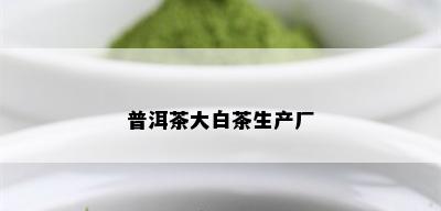 普洱茶大白茶生产厂