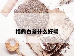 福鼎白茶什么好喝