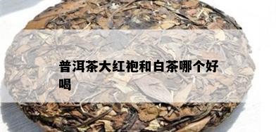 普洱茶大红袍和白茶哪个好喝