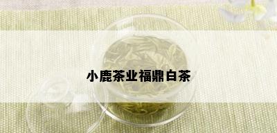 小鹿茶业福鼎白茶