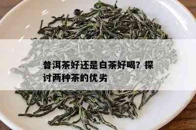 普洱茶好还是白茶好喝？探讨两种茶的优劣