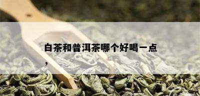 白茶和普洱茶哪个好喝一点，