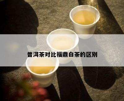 普洱茶对比福鼎白茶的区别