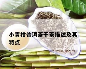 小青柑普洱茶干茶描述及其特点