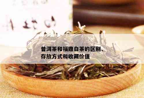 普洱茶和福鼎白茶的区别、存放方式和收藏价值