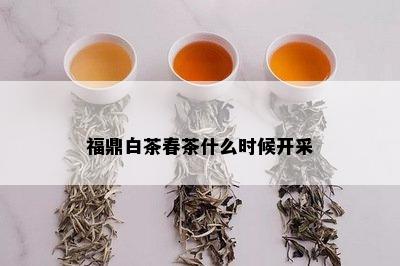 福鼎白茶春茶什么时候开采