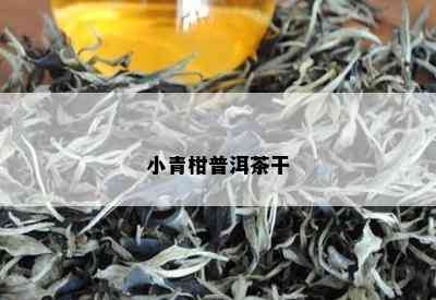 小青柑普洱茶干