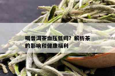 喝普洱茶血压低吗？解析茶的影响和健康福利