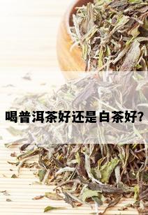 喝普洱茶好还是白茶好？