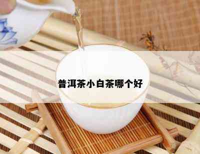 普洱茶小白茶哪个好