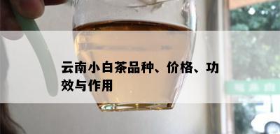 云南小白茶品种、价格、功效与作用