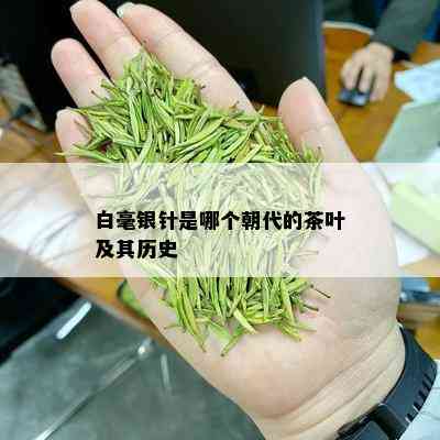 白毫银针是哪个朝代的茶叶及其历史