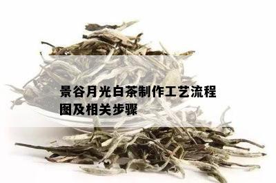 景谷月光白茶制作工艺流程图及相关步骤