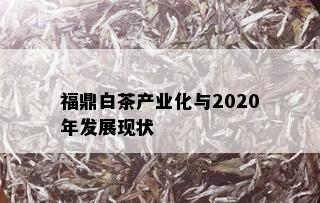 福鼎白茶产业化与2020年发展现状