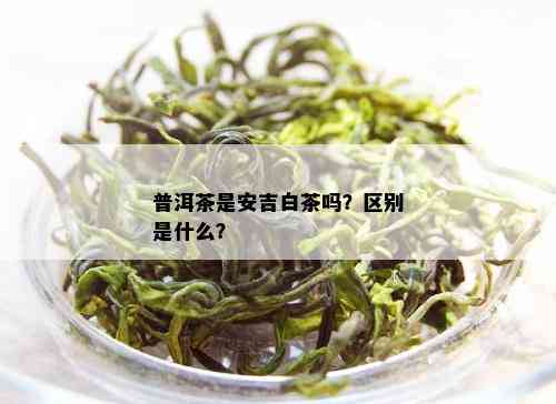 普洱茶是安吉白茶吗？区别是什么？