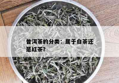 普洱茶的分类：属于白茶还是红茶？