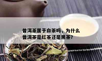 普洱茶属于白茶吗，为什么普洱茶是红茶还是黑茶？