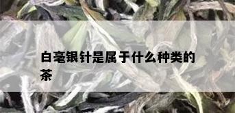 白毫银针是属于什么种类的茶