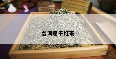 普洱属于红茶