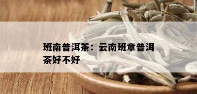 班南普洱茶：云南班章普洱茶好不好