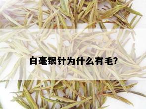 白毫银针为什么有毛？