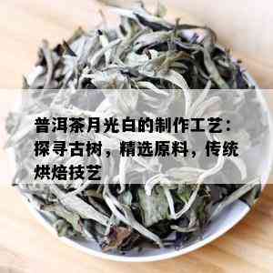 普洱茶月光白的制作工艺：探寻古树，精选原料，传统烘焙技艺