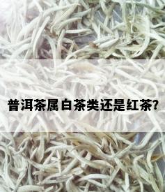 普洱茶属白茶类还是红茶？