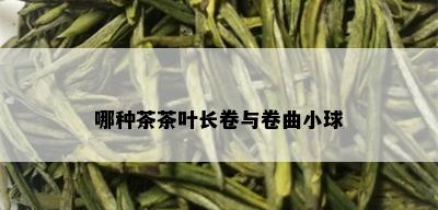 哪种茶茶叶长卷与卷曲小球