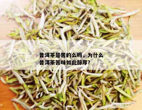 普洱茶是苦的么吗，为什么普洱茶苦味如此醇厚？