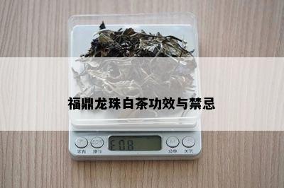 福鼎龙珠白茶功效与禁忌