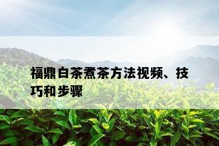 福鼎白茶煮茶方法视频、技巧和步骤