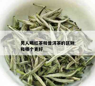 男人喝红茶和普洱茶的区别和哪个更好