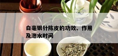 白毫银针陈皮的功效、作用及泡水时间