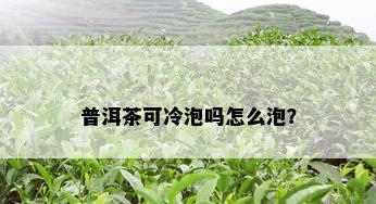 普洱茶可冷泡吗怎么泡？