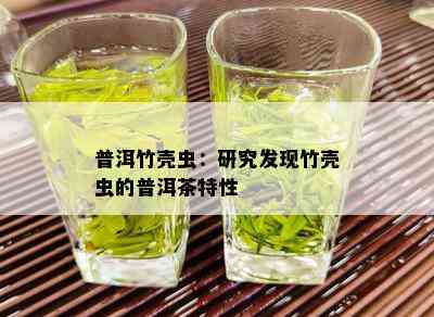 普洱竹壳虫：研究发现竹壳虫的普洱茶特性