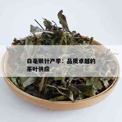 白毫银针产季：品质卓越的茶叶供应