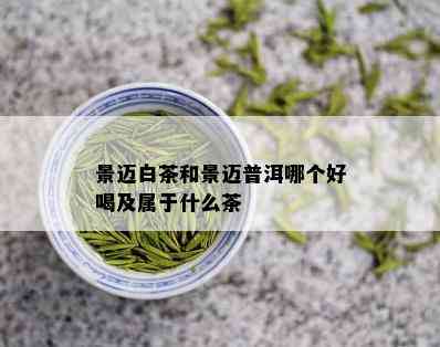 景迈白茶和景迈普洱哪个好喝及属于什么茶