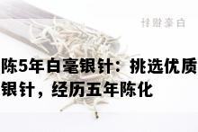 陈5年白毫银针：挑选优质银针，经历五年陈化