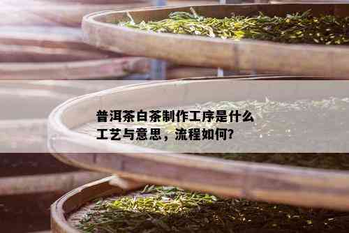 普洱茶白茶制作工序是什么工艺与意思，流程如何？